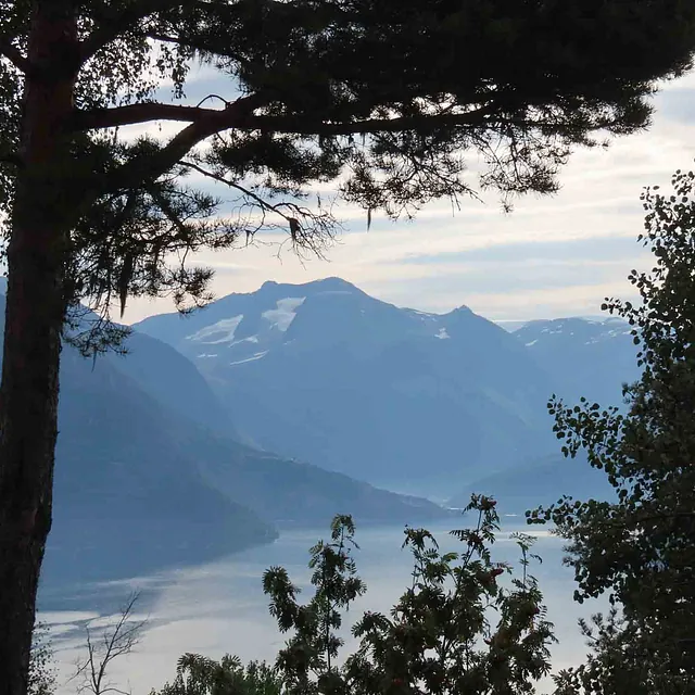 Utsikt over fjord