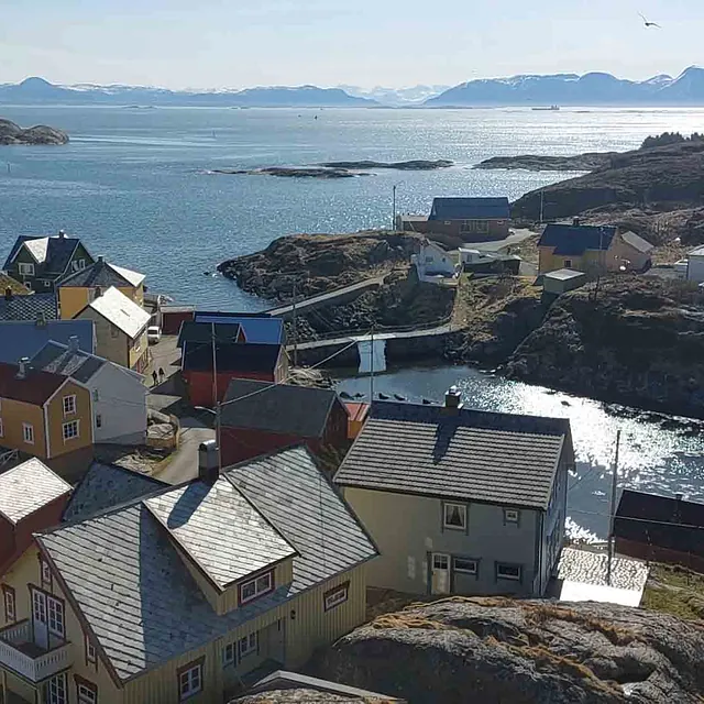 Flyfoto av tettbebyggelse og hus ved sjøen i Olden.