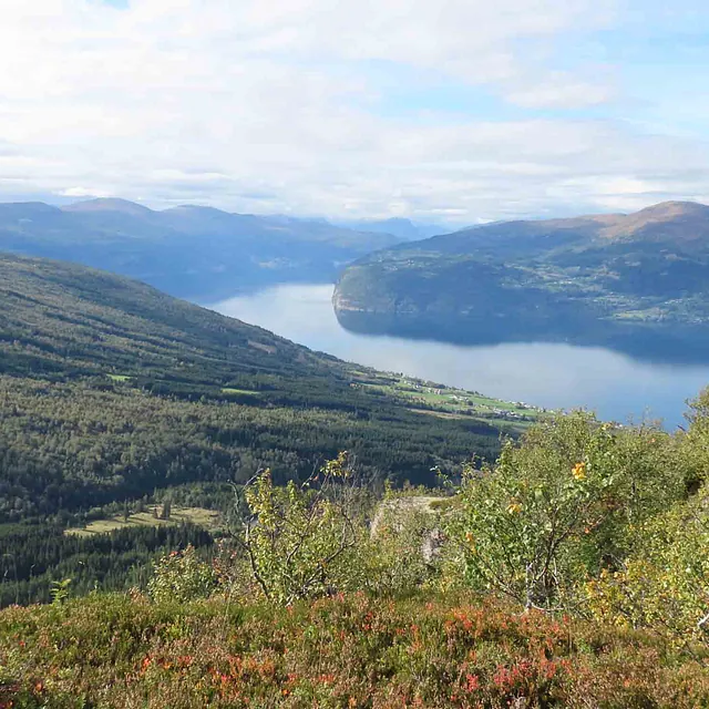 Panoramautsikt fra fjellet ned mot en dyp, grønn fjelldal og en fjord.