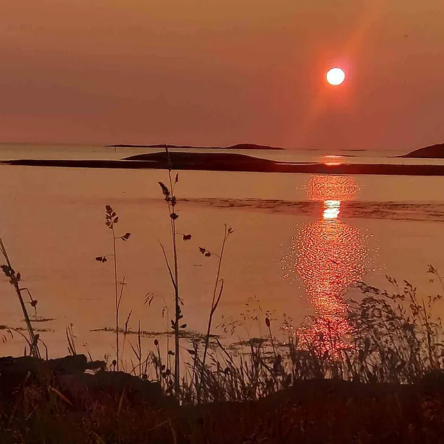 Stemningsfull solnedgang som farger himmelen og havet i dype oransjetoner, med strå i forgrunnen.