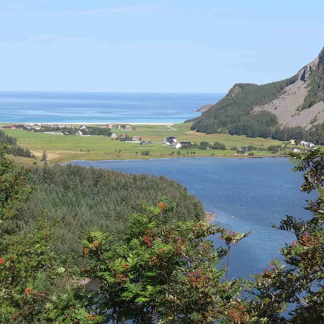 Oversiktsbilde over en frodig, grønn vik som møter en sandstrand og det blå havet.