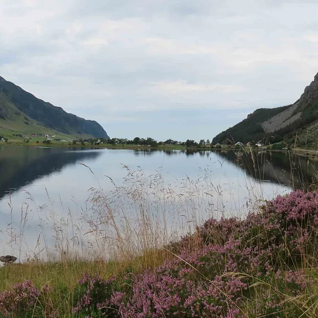 Blikkstille vann omkranset av fjell og lyng i forgrunnen i Olden.