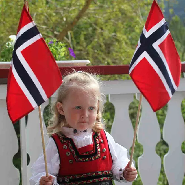 Jente i bunad holder to flagg