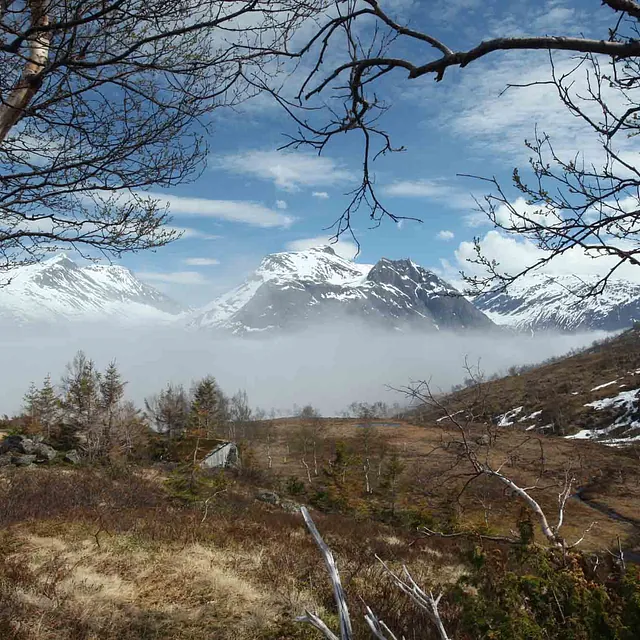 Utsikt mot snødekte fjell