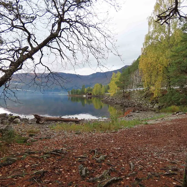 Høstfarger på trærne langs vannkanten i Olden.