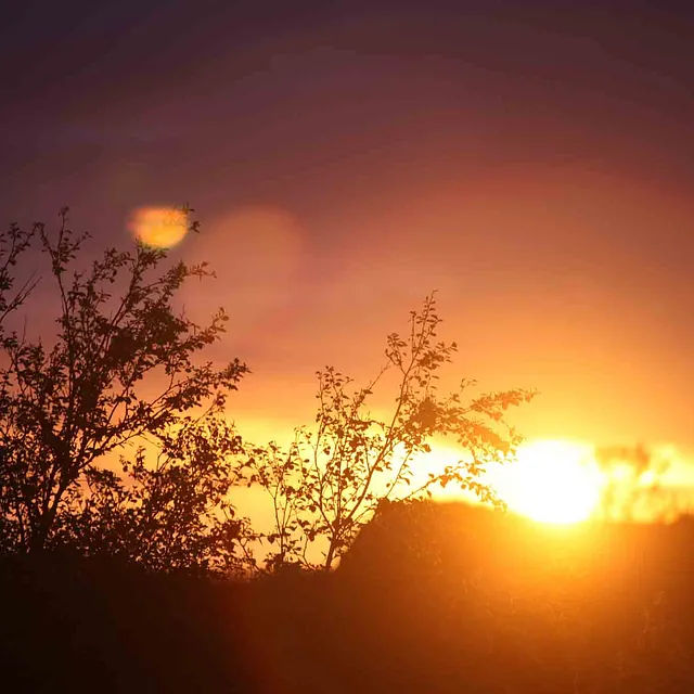 Solnedgang