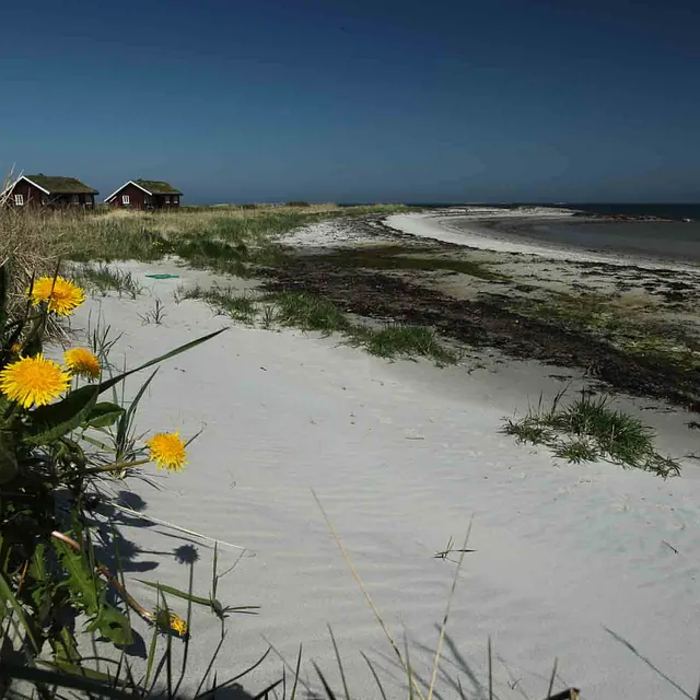 Utsikt mot strand